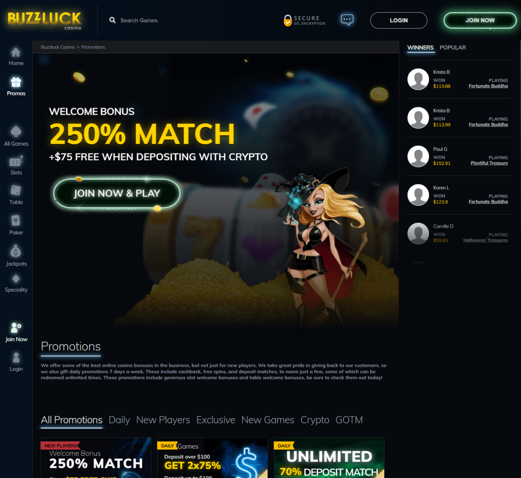 BuzzLuck Casino Desktop Preview 2